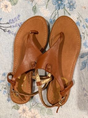 Circus by Sam Edelman Cognac Brown T-Strap Sandals